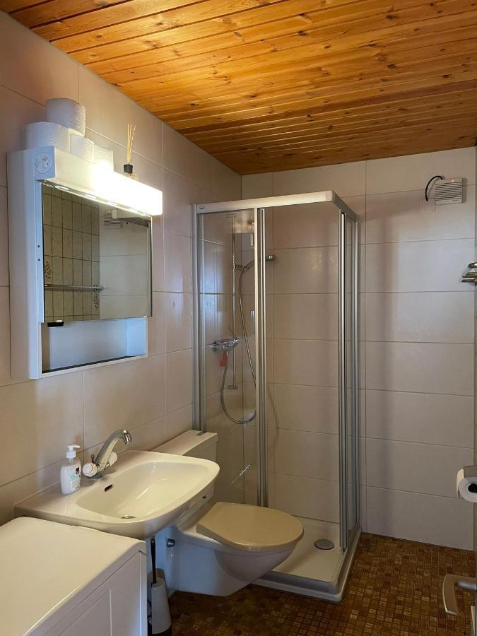 Albinen Gemuetliche Wohnung Mit Traumaussicht! מראה חיצוני תמונה