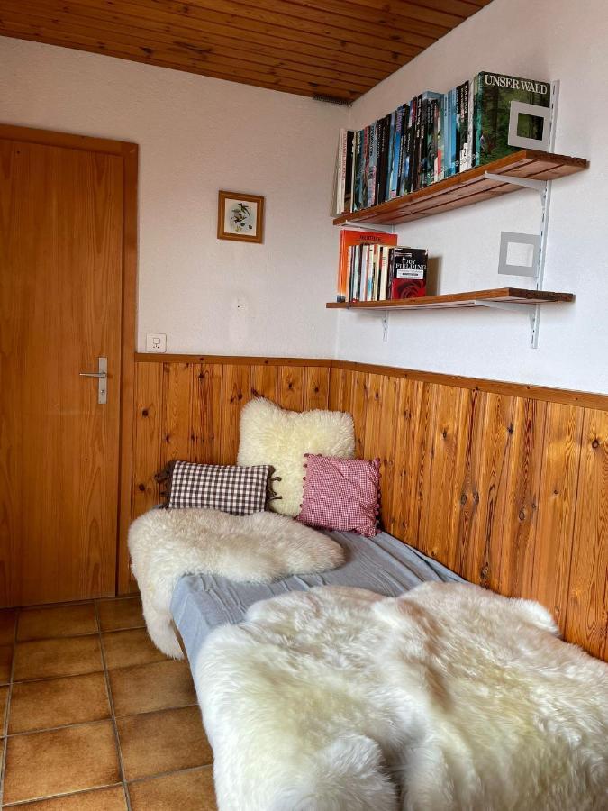 Albinen Gemuetliche Wohnung Mit Traumaussicht! מראה חיצוני תמונה
